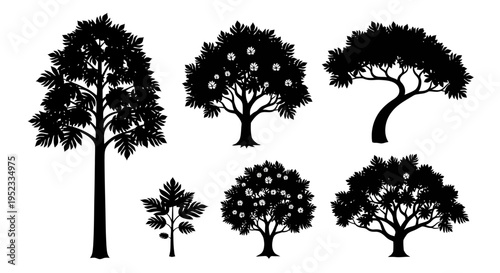 Collection of Black Tree Silhouettes Isolated on White Background
