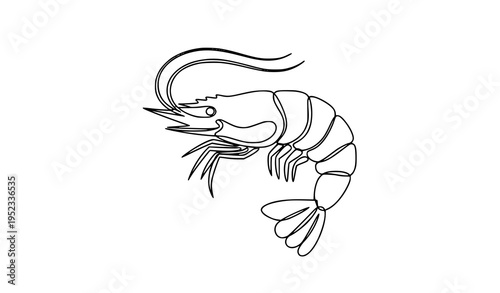 A minimalist line art illustration of a shrimp on a white background
