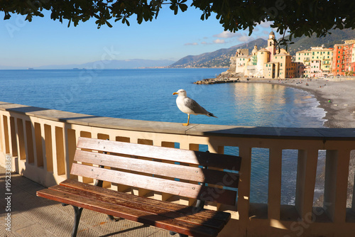 A seagull in front of a church in Italy on a sunny day.