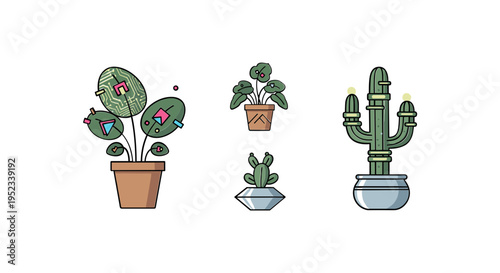 Potted plants and cactus in pots.