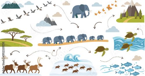Animal Migration and Movement Concept Illustration Featuring Elephants, Birds, Turtles, Fish, and Deer with Direction Arrows in Flat Vector Style for Wildlife Education Design.
