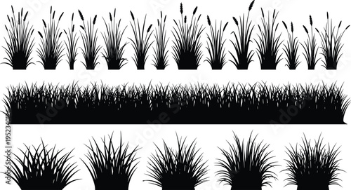 Professional Cyclist Silhouettes Vector Illustration Set, Road Bike Rider Icons, Sports Cycling Competition, Active Lifestyle Exercise, Bicycle Racing Graphics, Athletic Training Motion