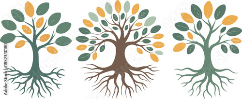 Three tree of life symbol designs with green and yellow leaves. root system stylized as a circle