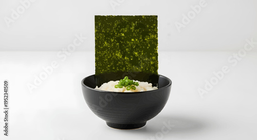 Simple Bowl of Rice with Nori Seaweed Topping.