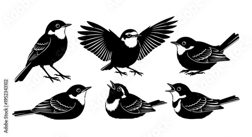Set of Black and White Bird Silhouettes: Various Poses, Flying, Perching, Singing