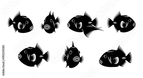 Set of black and white illustrations of triggerfish in various poses