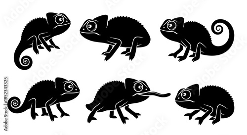 Set of Black Chameleon Silhouettes on White Background
