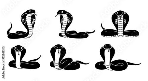 Set of Black Cobra Snake Silhouettes in Various Poses on White Background