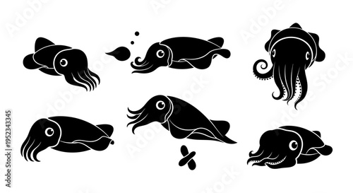 Set of Black Cuttlefish Icons and Silhouettes on White Background