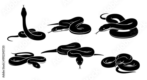 Set of Black Snake Silhouettes in Various Poses on White Background