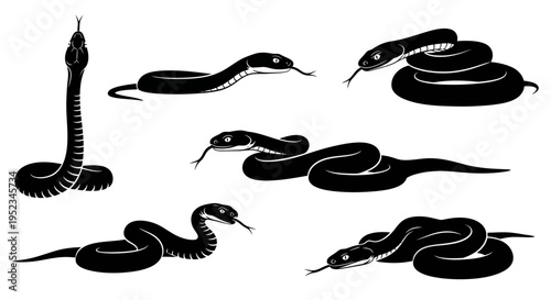 Set of Black Snake Silhouettes in Various Poses on White Background