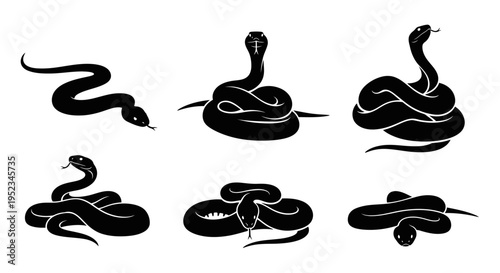 Set of Black Snake Silhouettes in Various Poses on White Background