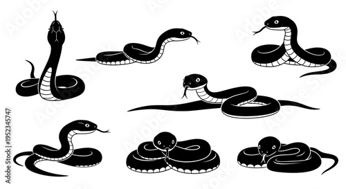 Set of Black Snake Silhouettes in Various Poses on White Background