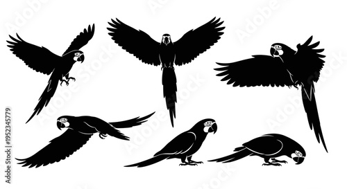 Set of Black Silhouette Macaw Parrots in Various Poses, Flying and Perched