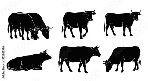 Set of Black Silhouettes of Cows in Various Poses on White Background