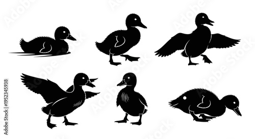 Set of black silhouettes of ducklings in various poses, isolated on white background