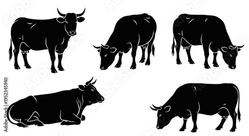 Set of Black Silhouettes of Cows in Various Poses on White Background