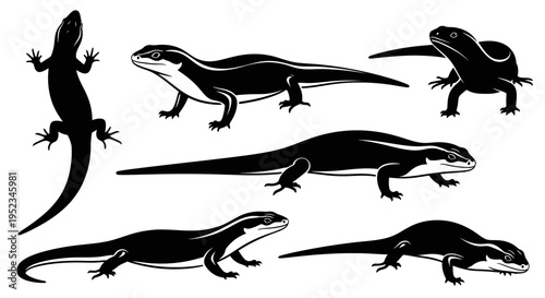 Set of Black Silhouettes of Lizards and Skinks on White Background