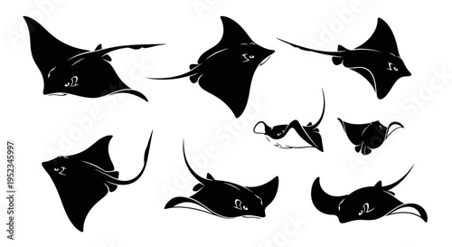 Set of black silhouettes of stingrays and manta rays swimming, isolated on white background.