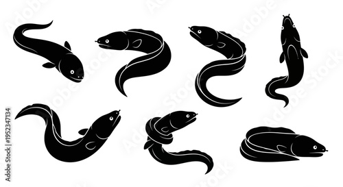 Set of Black Eel Silhouettes on White Background, Various Poses