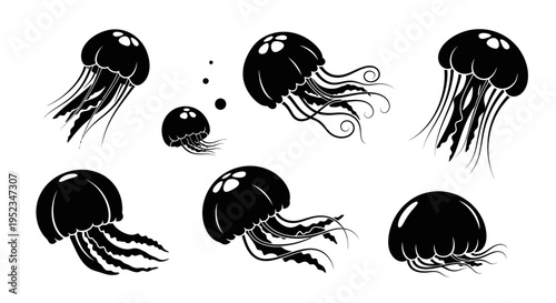 Set of Black Jellyfish Illustrations on White Background, Underwater Life