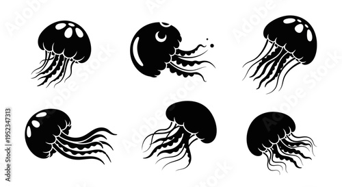 Set of Black Jellyfish Silhouettes on White Background, Underwater Marine Life Icons
