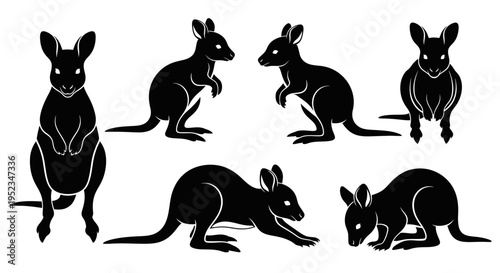 Set of Black Kangaroo Silhouettes in Various Poses on White Background