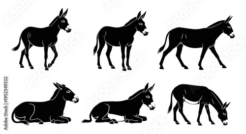 Set of Donkey Silhouettes in Various Poses: Standing, Walking, Sitting, Grazing
