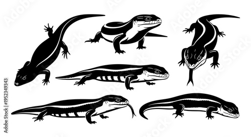 Set of Diverse Skink Lizard Illustrations in Black and White