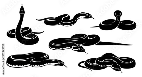 Set of Black Snake Silhouettes on White Background, Various Poses