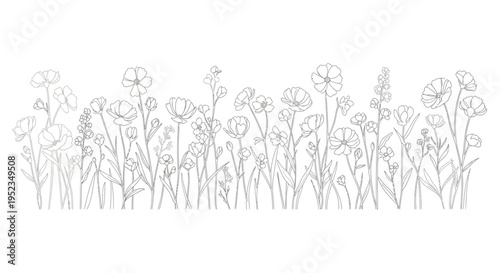 Detailed drawing of various flowers.