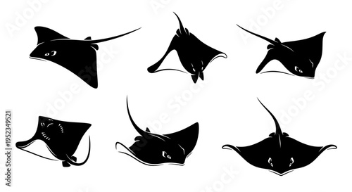 Set of Black Stingray Silhouettes in Different Poses