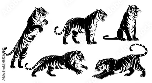 Set of Black Tiger Silhouettes in Dynamic Poses - Wild Cat Illustration