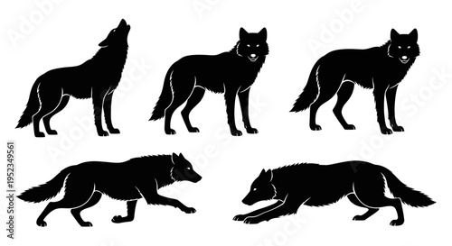 Set of Black Wolf Silhouettes in Various Poses: Howling, Standing, Running, and Crouching