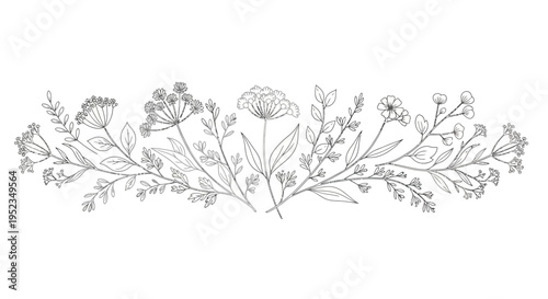 Konstfotografi Detailed floral line art illustration 2.