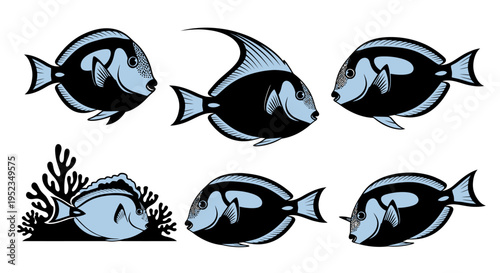Set of Blue and Black Surgeonfish Illustrations on White Background