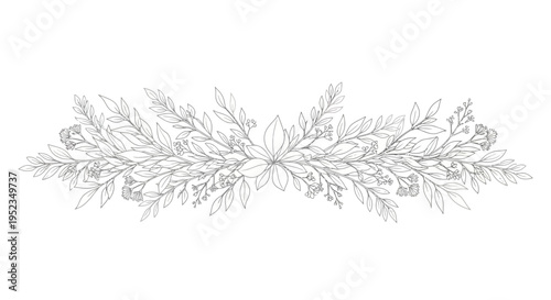 Detailed illustration of leafy branch 1.