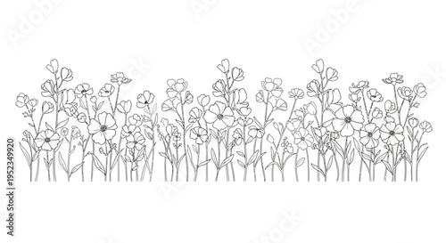 Detailed line drawing of various flowers.