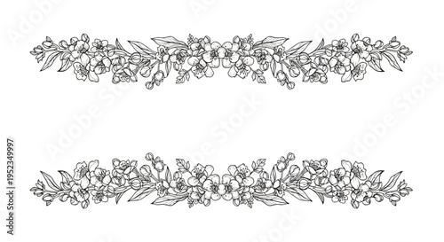 Floral Decorative Border Design Elements.