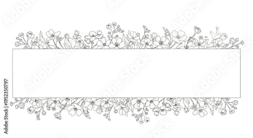 Ornate floral border design element 2.