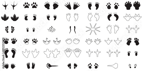 Comprehensive Vector Collection of Diverse Animal Paw Prints, Human Footprints, and Handprint Tracks, Ideal for Wildlife Identification, Educational Resources, and Creative Graphic Design Projects