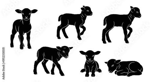 Set of Black Lamb Silhouettes on White Background