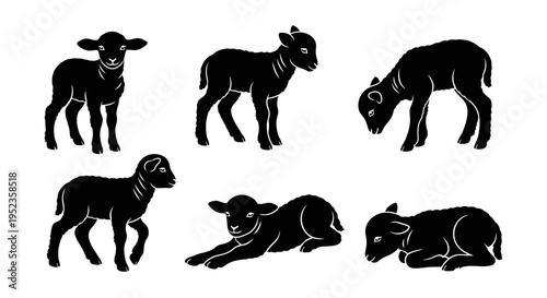 Set of Black Lamb Silhouettes: Standing, Walking, Lying Down, Grazing
