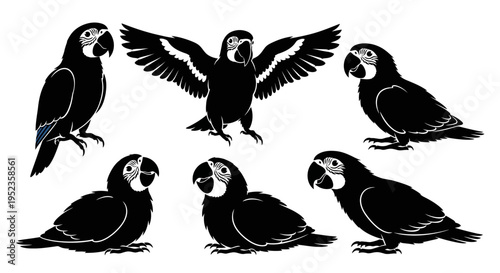 Set of Black Macaw Parrots Silhouettes in Different Poses - Vector Illustration