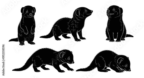Set of Black Mongoose Silhouettes in Various Poses on White Background