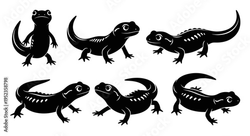 Set of Black Salamander Silhouettes in Various Poses