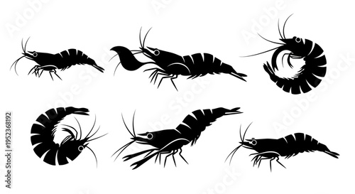 Set of Black Shrimp Silhouettes: Various Poses and Movements