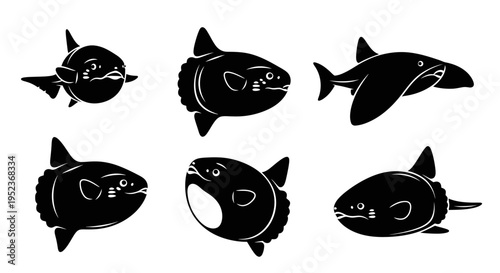 Set of Black Silhouette Illustrations of Ocean Sunfish (Mola mola) in Various Poses