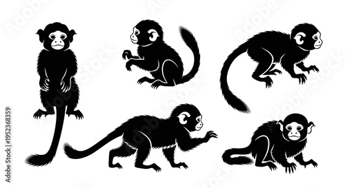 Set of Black Silhouette Monkeys in Various Poses on White Background