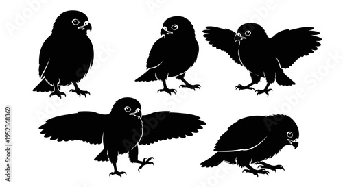 Set of Black Silhouette Owl Poses Isolated on White Background